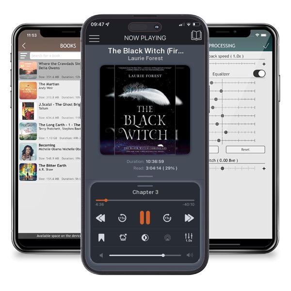 Download fo free audiobook The Black Witch (First Time Trade) by Laurie Forest and listen anywhere on your iOS devices in the ListenBook app.