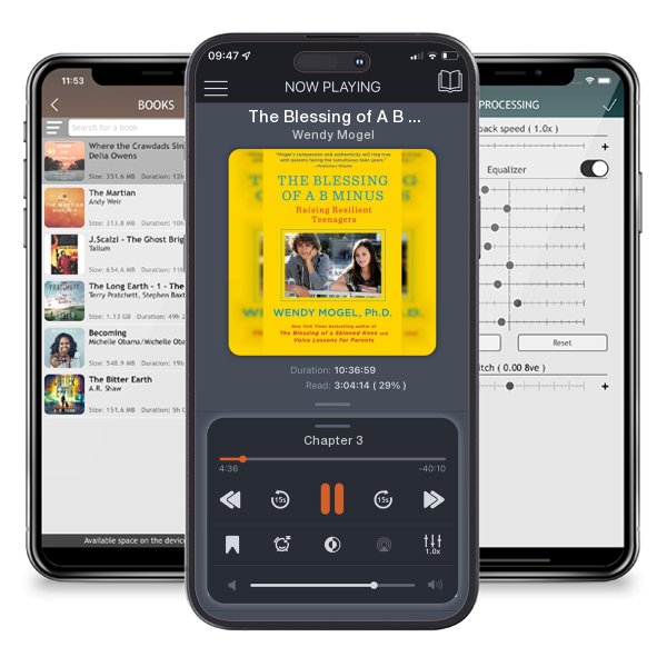 Download fo free audiobook The Blessing of A B Minus: Raising Resilient Teenagers by Wendy Mogel and listen anywhere on your iOS devices in the ListenBook app.