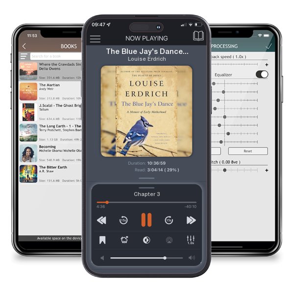 Download fo free audiobook The Blue Jay's Dance: A Memoir of Early Motherhood by Louise Erdrich and listen anywhere on your iOS devices in the ListenBook app.