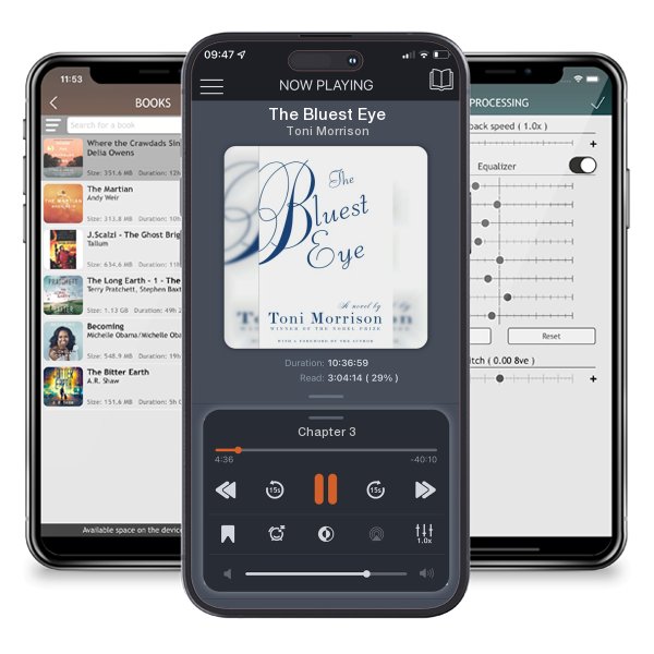 Download fo free audiobook The Bluest Eye by Toni Morrison and listen anywhere on your iOS devices in the ListenBook app.