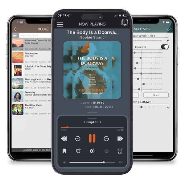 Download fo free audiobook The Body Is a Doorway: A Memoir: A Journey Beyond Healing,... by Sophie Strand and listen anywhere on your iOS devices in the ListenBook app.