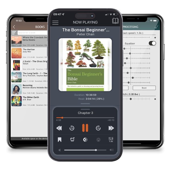 Download fo free audiobook The Bonsai Beginner's Bible by Peter Chan and listen anywhere on your iOS devices in the ListenBook app.