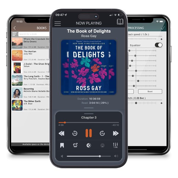 Download fo free audiobook The Book of Delights by Ross Gay and listen anywhere on your iOS devices in the ListenBook app.