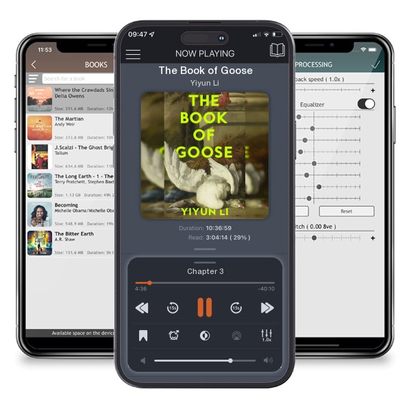 Download fo free audiobook The Book of Goose by Yiyun Li and listen anywhere on your iOS devices in the ListenBook app.