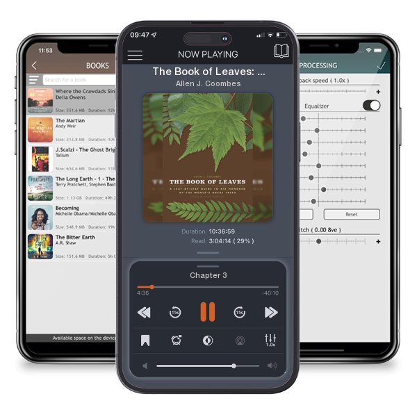 Download fo free audiobook The Book of Leaves: A Leaf-by-Leaf Guide to Six Hundred of the World's Great Trees by Allen J. Coombes and listen anywhere on your iOS devices in the ListenBook app.