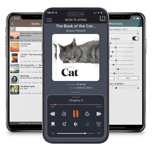 Download fo free audiobook The Book of the Cat: Cats in Art by Angus Hyland and listen anywhere on your iOS devices in the ListenBook app.