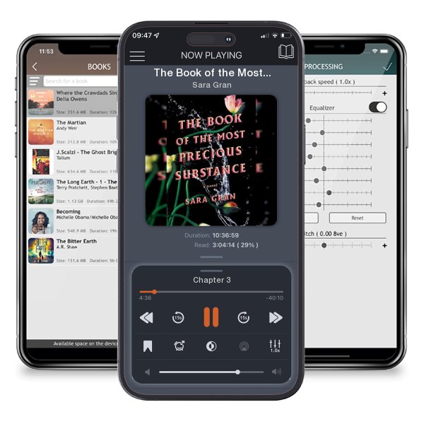 Download fo free audiobook The Book of the Most Precious Substance by Sara Gran and listen anywhere on your iOS devices in the ListenBook app.