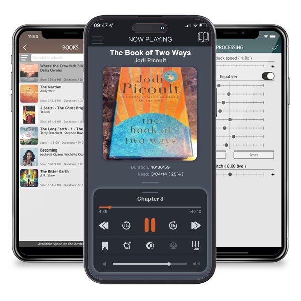 Download fo free audiobook The Book of Two Ways by Jodi Picoult and listen anywhere on your iOS devices in the ListenBook app.