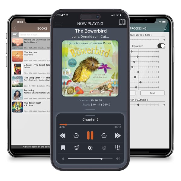 Download fo free audiobook The Bowerbird by Julia Donaldson, Catherine Rayner and listen anywhere on your iOS devices in the ListenBook app.