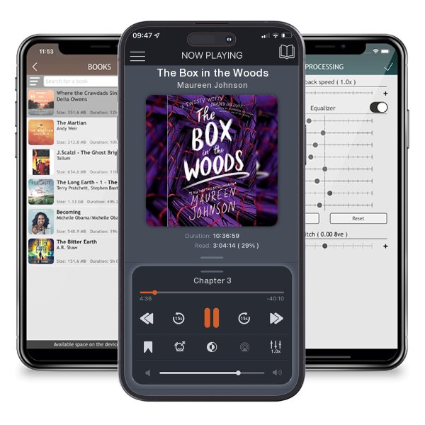 Download fo free audiobook The Box in the Woods by Maureen Johnson and listen anywhere on your iOS devices in the ListenBook app.