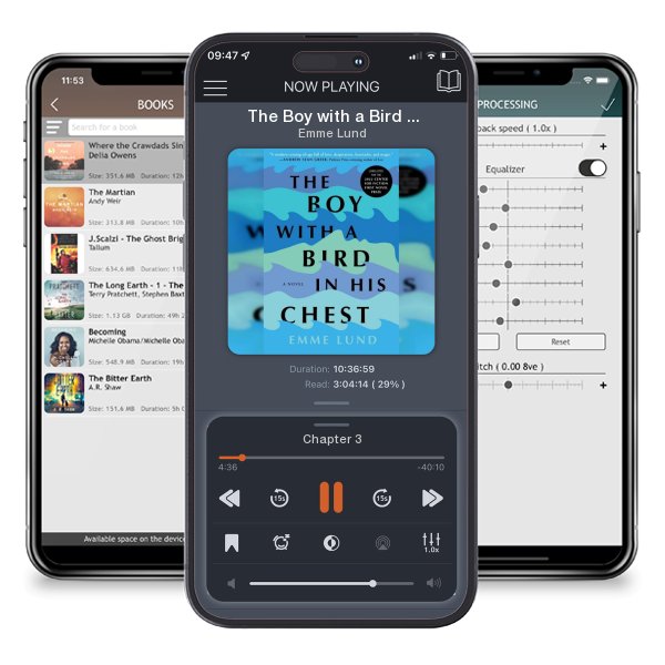 Download fo free audiobook The Boy with a Bird in His Chest by Emme Lund and listen anywhere on your iOS devices in the ListenBook app.