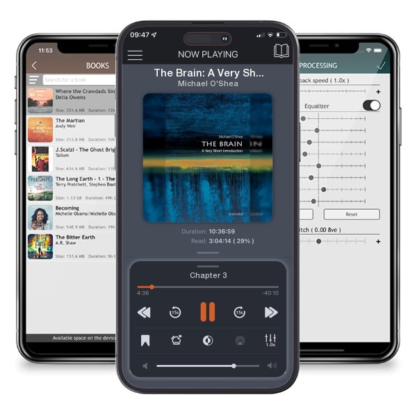 Download fo free audiobook The Brain: A Very Short Introduction (Very Short Introductions) by Michael O'Shea and listen anywhere on your iOS devices in the ListenBook app.