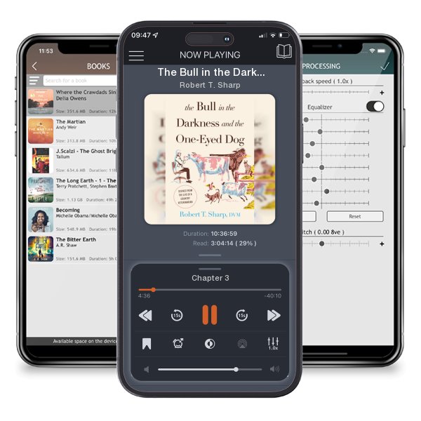 Download fo free audiobook The Bull in the Darkness and the One-Eyed Dog: Scenes from the Life of a Country Veterinarian by Robert T. Sharp and listen anywhere on your iOS devices in the ListenBook app.