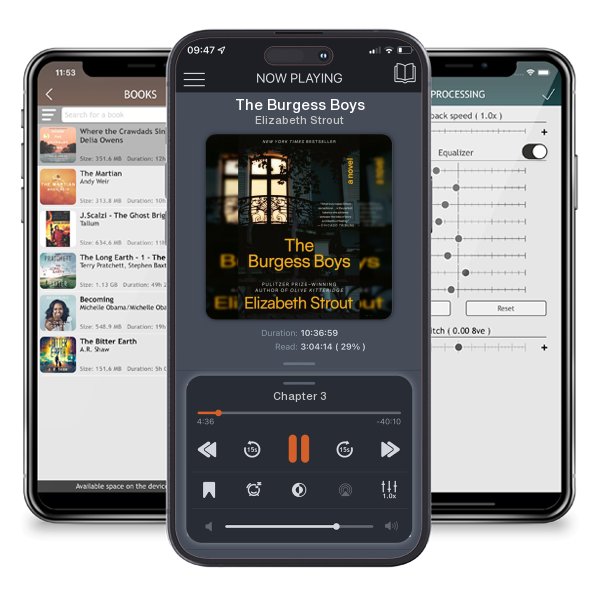 Download fo free audiobook The Burgess Boys by Elizabeth Strout and listen anywhere on your iOS devices in the ListenBook app.