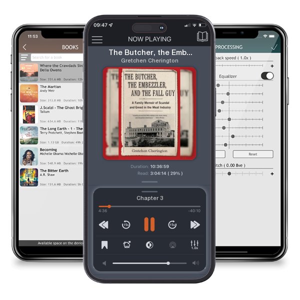 Download fo free audiobook The Butcher, the Embezzler, and the Fall Guy: A Family Memoir... by Gretchen Cherington and listen anywhere on your iOS devices in the ListenBook app.