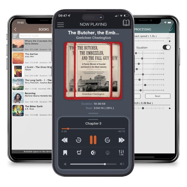 Download fo free audiobook The Butcher, the Embezzler, and the Fall Guy: A Family Memoir... by Gretchen Cherington and listen anywhere on your iOS devices in the ListenBook app.