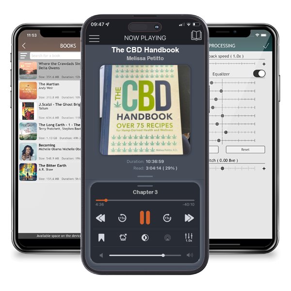 Download fo free audiobook The CBD Handbook by Melissa Petitto and listen anywhere on your iOS devices in the ListenBook app.