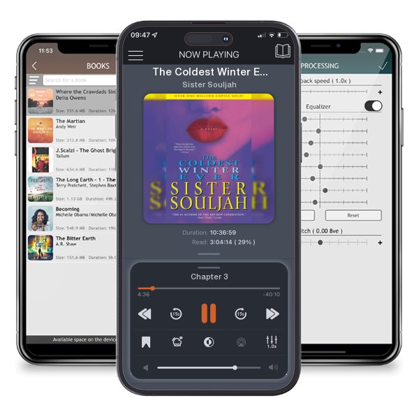 Download fo free audiobook The Coldest Winter Ever by Sister Souljah and listen anywhere on your iOS devices in the ListenBook app.