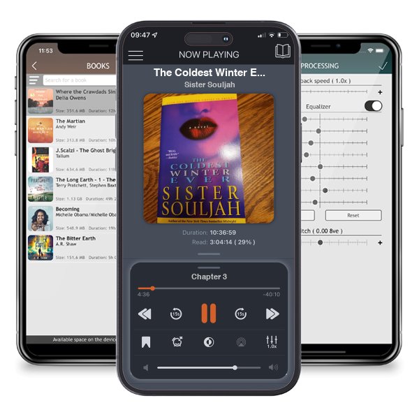 Download fo free audiobook The Coldest Winter Ever by Sister Souljah and listen anywhere on your iOS devices in the ListenBook app.