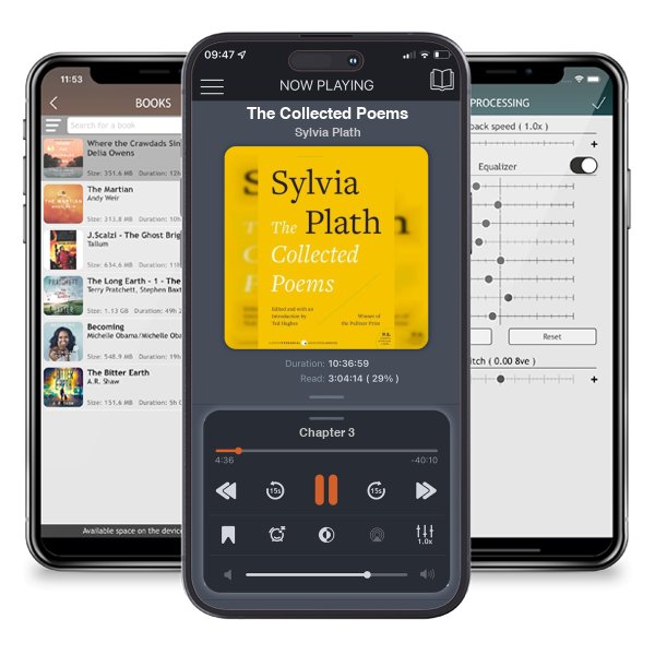 Download fo free audiobook The Collected Poems by Sylvia Plath and listen anywhere on your iOS devices in the ListenBook app.