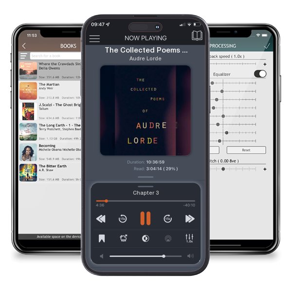 Download fo free audiobook The Collected Poems of Audre Lorde by Audre Lorde and listen anywhere on your iOS devices in the ListenBook app.