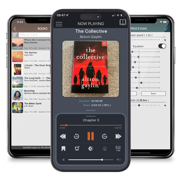 Download fo free audiobook The Collective by Alison Gaylin and listen anywhere on your iOS devices in the ListenBook app.