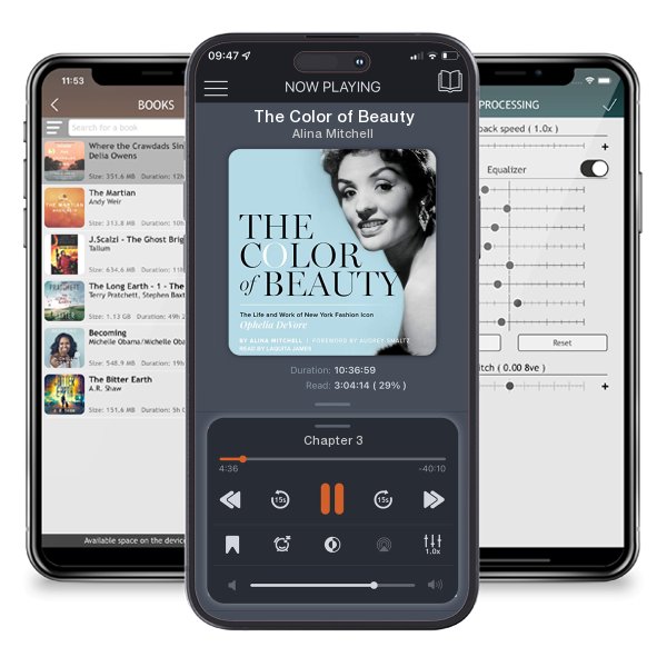 Download fo free audiobook The Color of Beauty by Alina Mitchell and listen anywhere on your iOS devices in the ListenBook app.