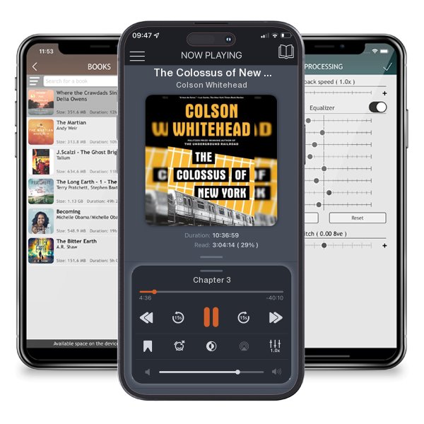 Download fo free audiobook The Colossus of New York by Colson Whitehead and listen anywhere on your iOS devices in the ListenBook app.