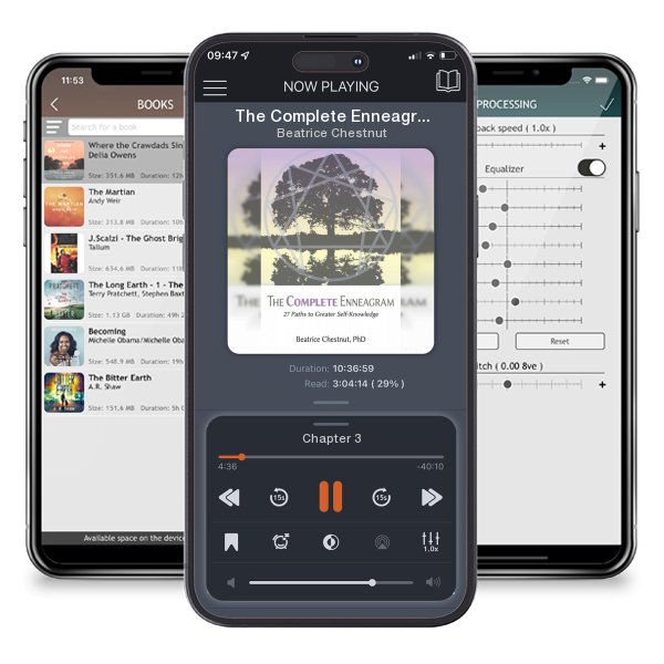 Download fo free audiobook The Complete Enneagram: 27 Paths to Greater Self-Knowledge by Beatrice Chestnut and listen anywhere on your iOS devices in the ListenBook app.
