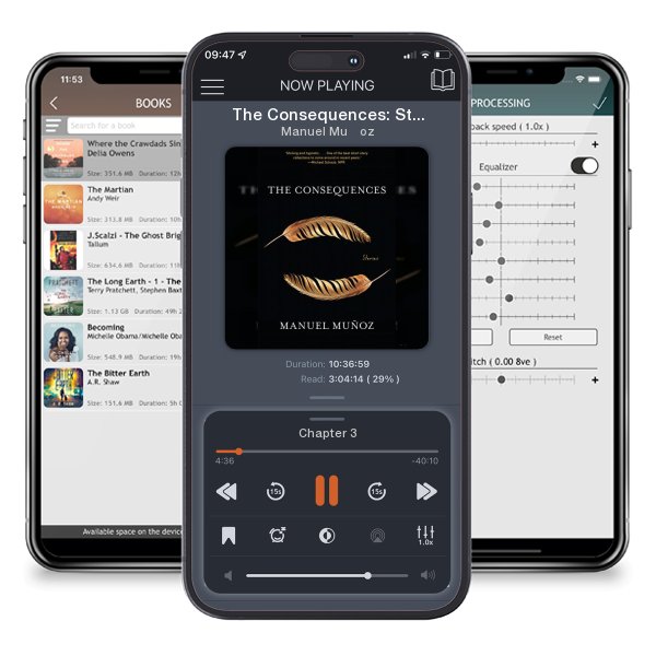 Download fo free audiobook The Consequences: Stories by Manuel Muñoz and listen anywhere on your iOS devices in the ListenBook app.