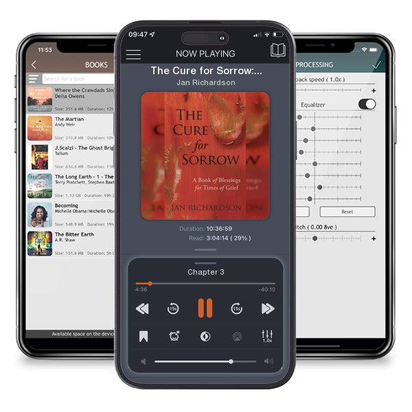 Download fo free audiobook The Cure for Sorrow: A Book of Blessings for Times of Grief by Jan Richardson and listen anywhere on your iOS devices in the ListenBook app.