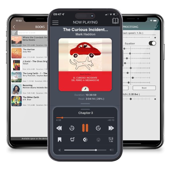 Download fo free audiobook The Curious Incident of the Dog in the Night-Time by Mark Haddon and listen anywhere on your iOS devices in the ListenBook app.