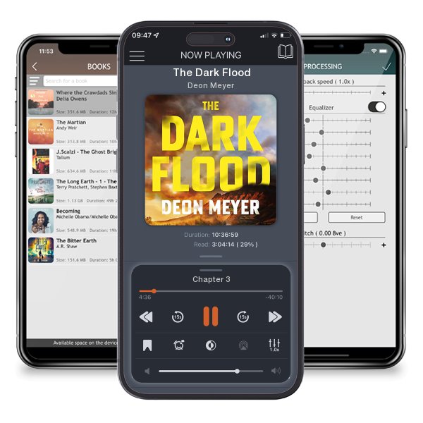 Download fo free audiobook The Dark Flood by Deon Meyer and listen anywhere on your iOS devices in the ListenBook app.