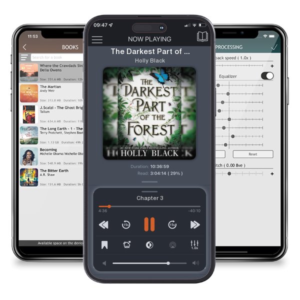 Download fo free audiobook The Darkest Part of the Forest by Holly Black and listen anywhere on your iOS devices in the ListenBook app.