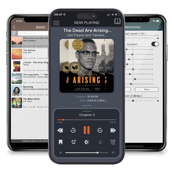 Download fo free audiobook The Dead Are Arising: The Life of Malcolm X by Les Payne and Tamara Payne and listen anywhere on your iOS devices in the ListenBook app.