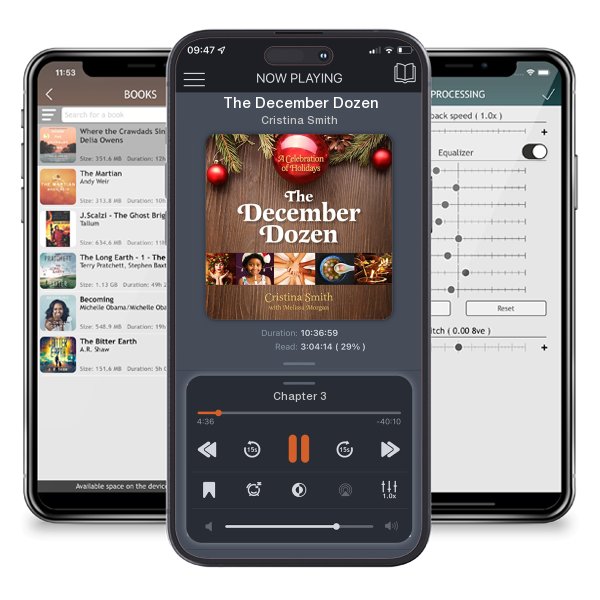 Download fo free audiobook The December Dozen by Cristina Smith and listen anywhere on your iOS devices in the ListenBook app.