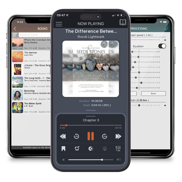Download fo free audiobook The Difference Between Seeds and Stones by Rondi Lightmark and listen anywhere on your iOS devices in the ListenBook app.