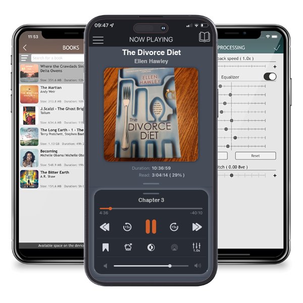 Download fo free audiobook The Divorce Diet by Ellen Hawley and listen anywhere on your iOS devices in the ListenBook app.