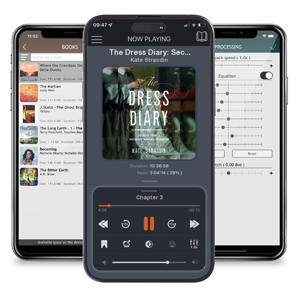 Download fo free audiobook The Dress Diary: Secrets from a Victorian Woman's Wardrobe by Kate Strasdin and listen anywhere on your iOS devices in the ListenBook app.
