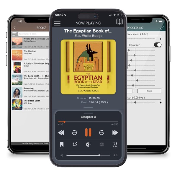 Download fo free audiobook The Egyptian Book of the Dead: (The Papyrus of Ani) Egyptian Text Transliteration and Translation by E. a. Wallis Budge and listen anywhere on your iOS devices in the ListenBook app.