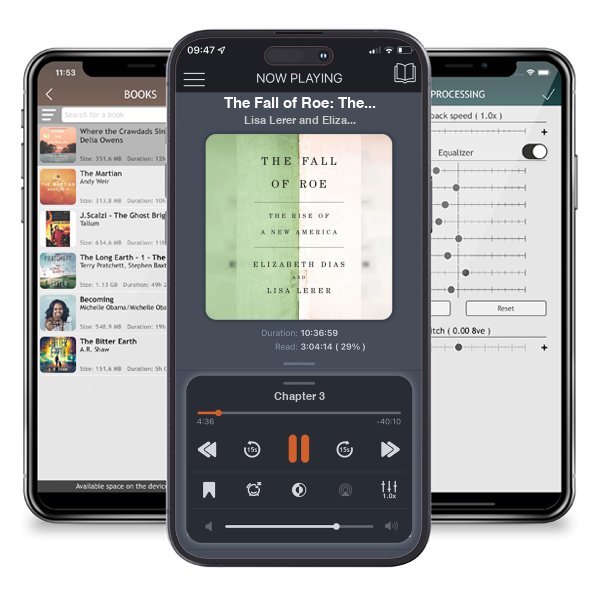 Download fo free audiobook The Fall of Roe: The Rise of a New America by Lisa Lerer and Elizabeth Dias and listen anywhere on your iOS devices in the ListenBook app.