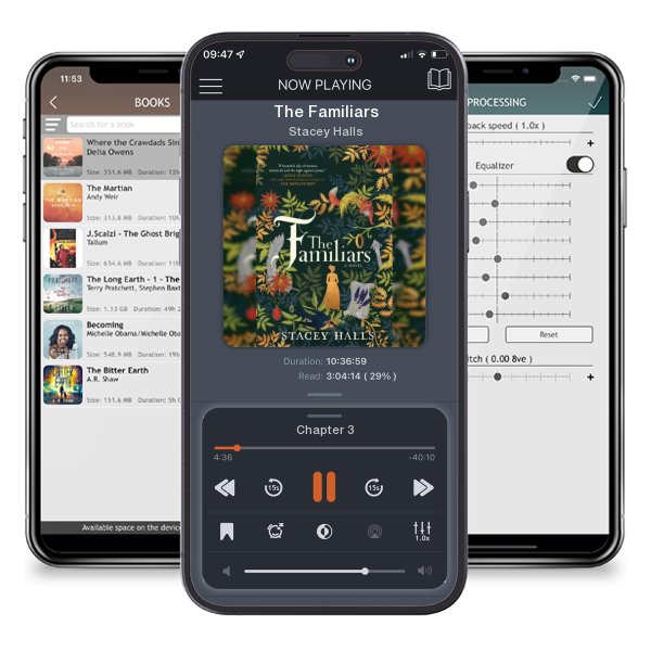 Download fo free audiobook The Familiars by Stacey Halls and listen anywhere on your iOS devices in the ListenBook app.