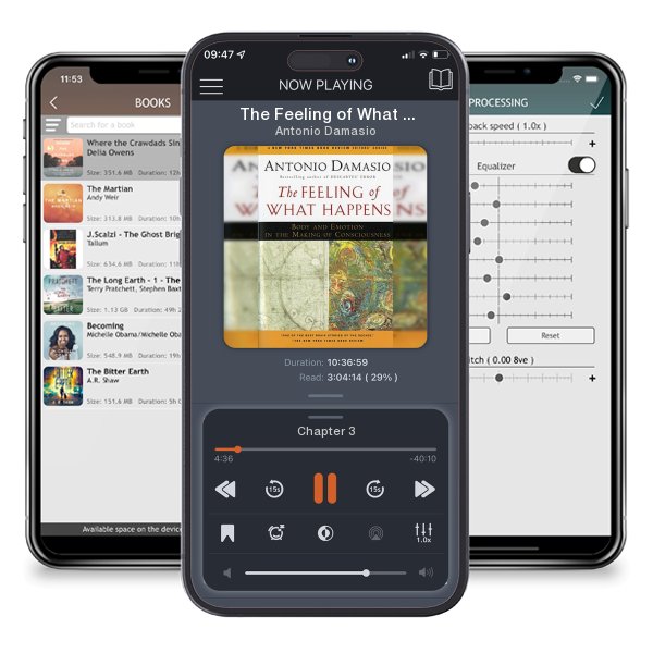 Download fo free audiobook The Feeling of What Happens: Body and Emotion in the Making... by Antonio Damasio and listen anywhere on your iOS devices in the ListenBook app.