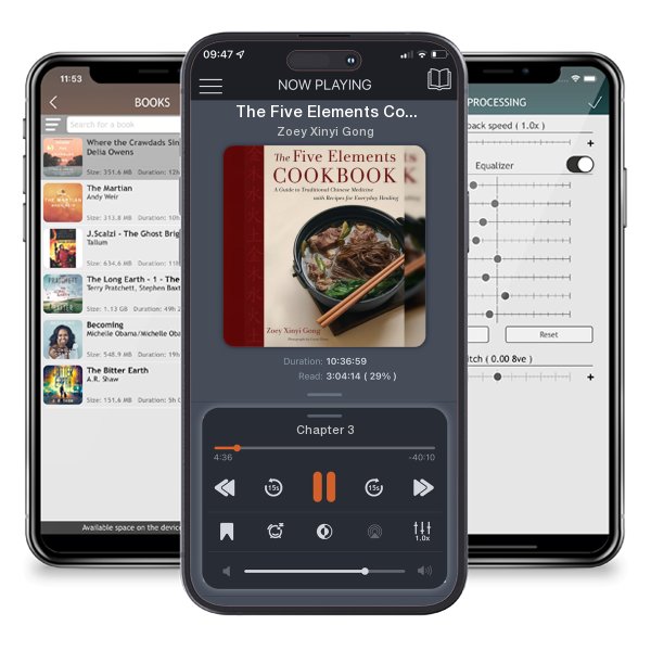 Download fo free audiobook The Five Elements Cookbook: A Guide to Traditional Chinese... by Zoey Xinyi Gong and listen anywhere on your iOS devices in the ListenBook app.