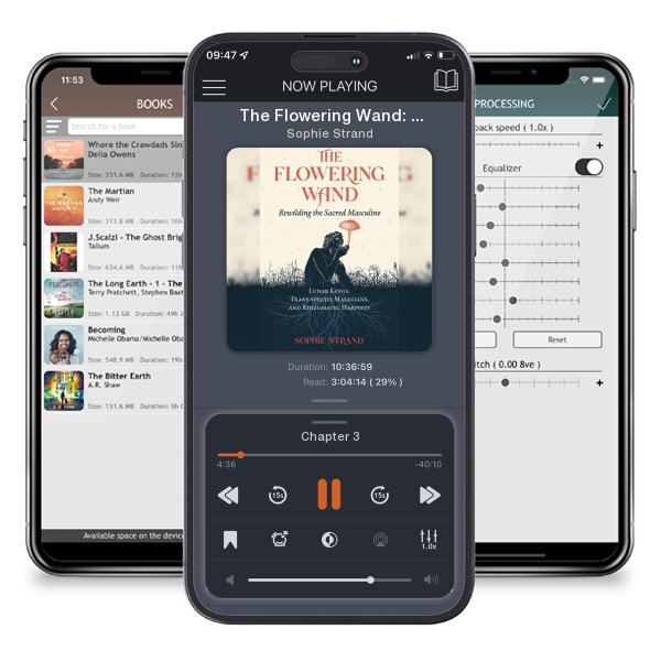 Download fo free audiobook The Flowering Wand: Rewilding the Sacred Masculine by Sophie Strand and listen anywhere on your iOS devices in the ListenBook app.