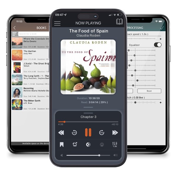 Download fo free audiobook The Food of Spain by Claudia Roden and listen anywhere on your iOS devices in the ListenBook app.
