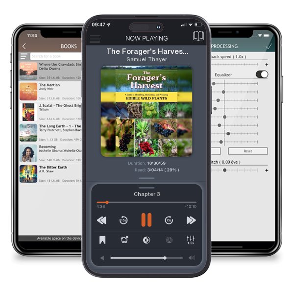 Download fo free audiobook The Forager's Harvest: A Guide to Identifying, Harvesting,... by Samuel Thayer and listen anywhere on your iOS devices in the ListenBook app.