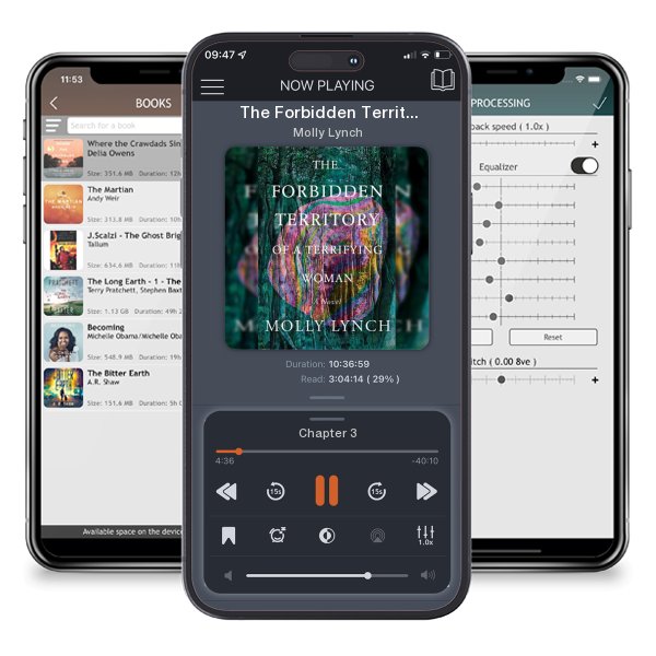 Download fo free audiobook The Forbidden Territory of a Terrifying Woman by Molly Lynch and listen anywhere on your iOS devices in the ListenBook app.