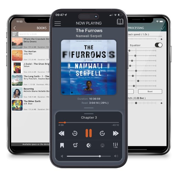 Download fo free audiobook The Furrows by Namwali Serpell and listen anywhere on your iOS devices in the ListenBook app.