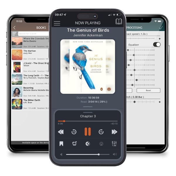 Download fo free audiobook The Genius of Birds by Jennifer Ackerman and listen anywhere on your iOS devices in the ListenBook app.